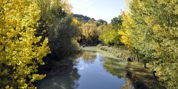 River Tiber with trees along its banks